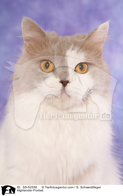 Highlander Portrait / SS-52556