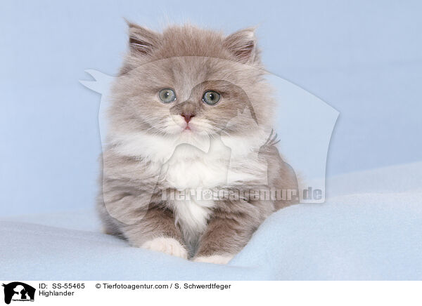 Highlander / Highlander / SS-55465