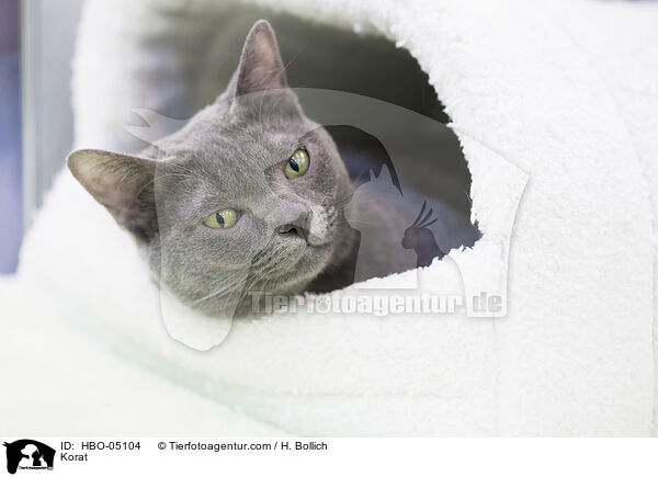 Korat / Korat / HBO-05104