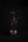 Maine Coon