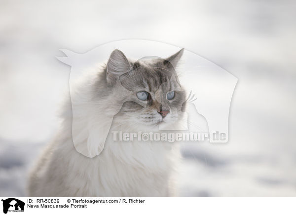 Neva Masquarade Portrait / RR-50839