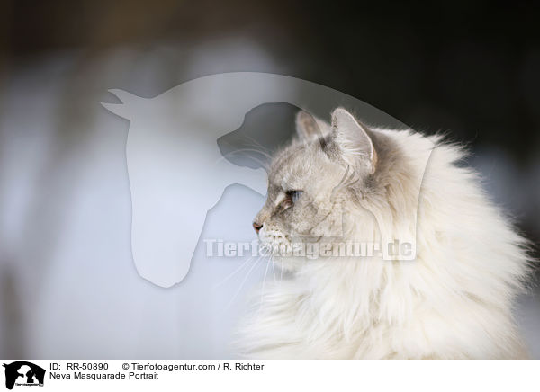 Neva Masquarade Portrait / RR-50890