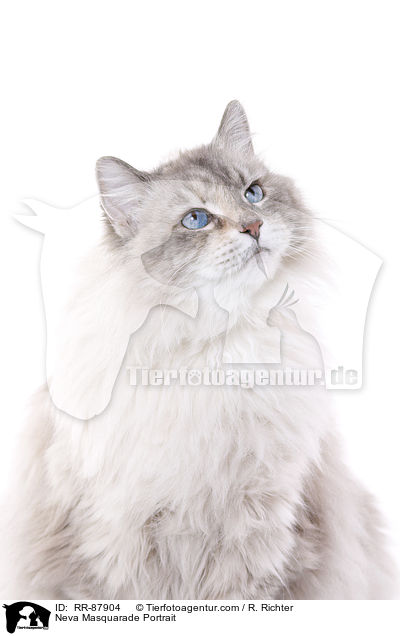 Neva Masquarade Portrait / RR-87904