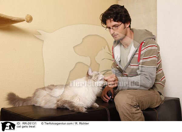 Katze bekommt Leckerchen / cat gets treat / RR-26131