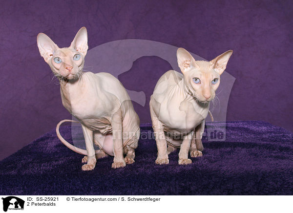 2 Peterbalds / 2 Peterbalds / SS-25921
