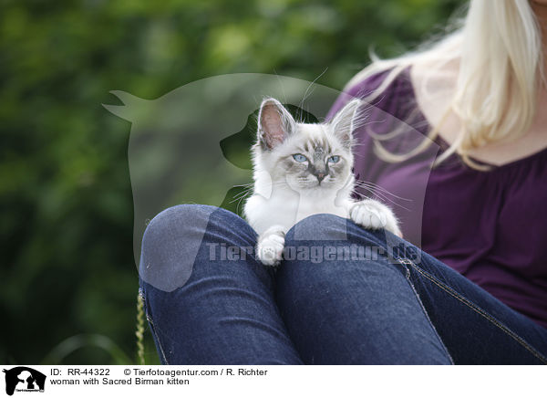 woman with Sacred Birman kitten / RR-44322