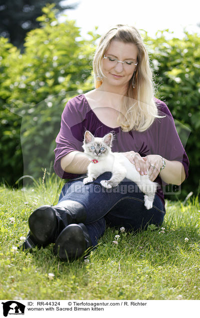woman with Sacred Birman kitten / RR-44324