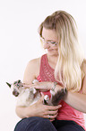 Sacred Birman kitten
