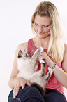 Sacred Birman kitten