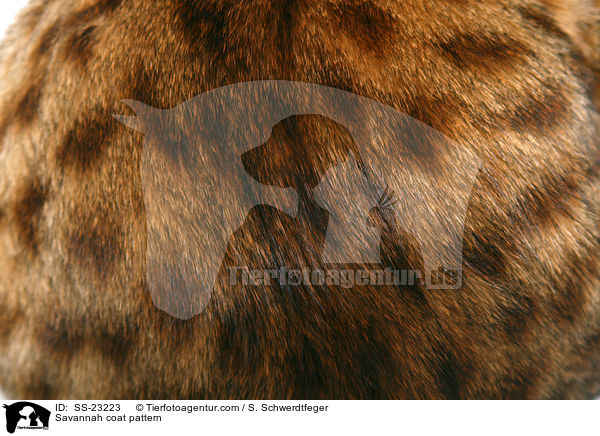 Savannah Fell / Savannah coat pattern / SS-23223
