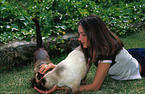 girl with siam cats