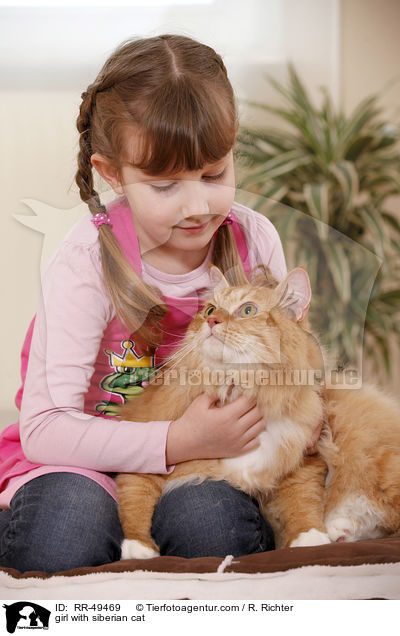 girl with siberian cat / RR-49469