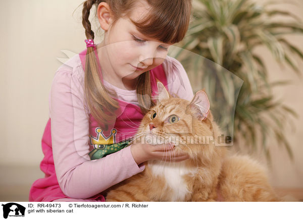 girl with siberian cat / RR-49473