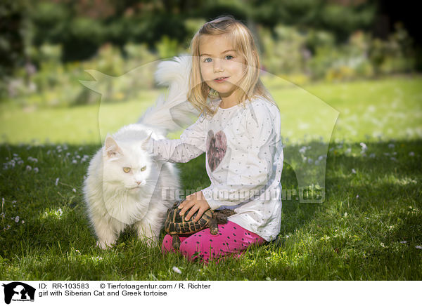 Mdchen mit Sibirische Katze und Griechische Landschildkrte / girl with Siberian Cat and Greek tortoise / RR-103583