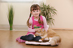 girl with siberian cat