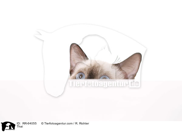 Thai / Thai / RR-64055