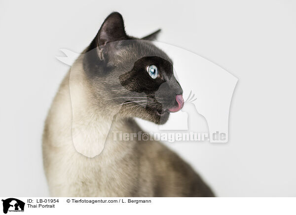 Thai Portrait / Thai Portrait / LB-01954