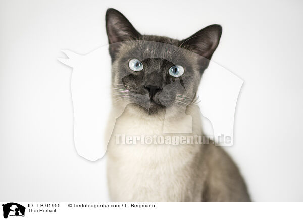 Thai Portrait / Thai Portrait / LB-01955