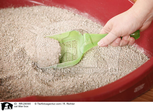 Katzenklo / cat litter box / RR-28090