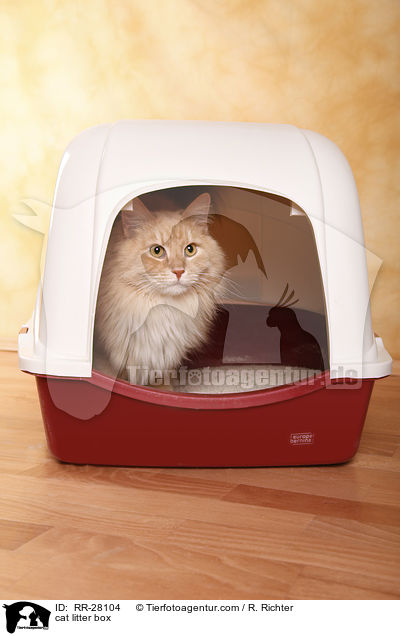 cat litter box / RR-28104