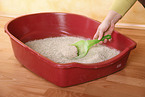 cat litter box
