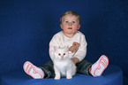 child with Sacred Birman kitten