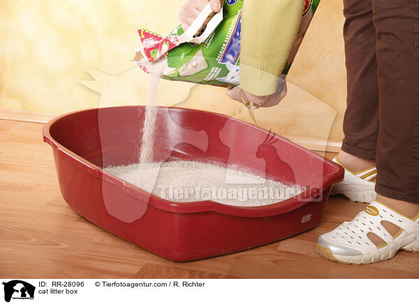 cat litter box / RR-28096