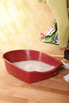 cat litter box