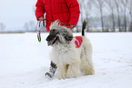 woman with sighthound