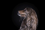 Afghan in front of black background