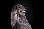Afghan in front of black background