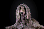 Afghan in front of black background