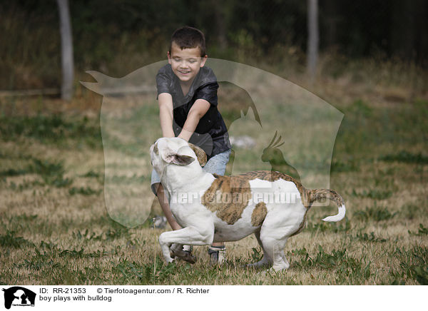 Junge spielt mit Bulldogge / boy plays with bulldog / RR-21353