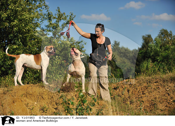Frau und American Bulldogs / woman and American Bulldogs / YJ-01963