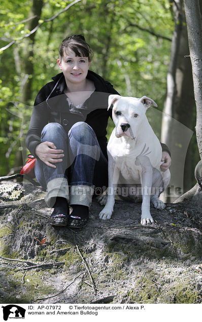 Frau und American Bulldog / woman and American Bulldog / AP-07972