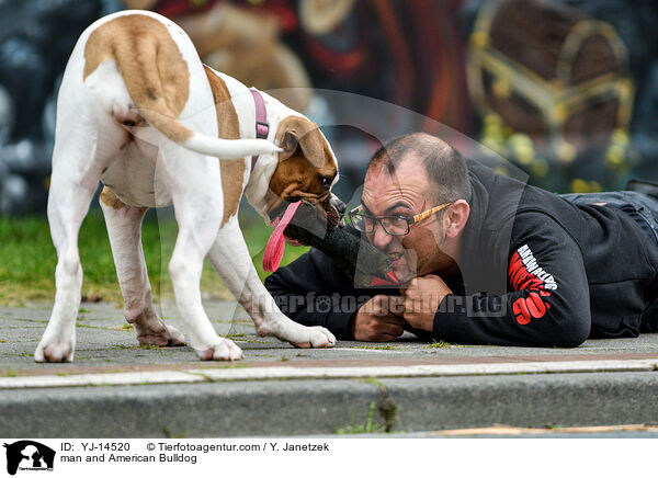 man and American Bulldog / YJ-14520