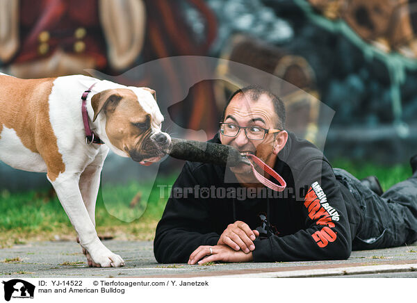 man and American Bulldog / YJ-14522