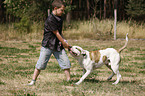 boy plays with bulldog