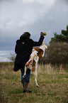 playing American Bulldog
