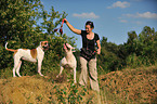 woman and American Bulldogs