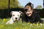 woman and American Bulldog