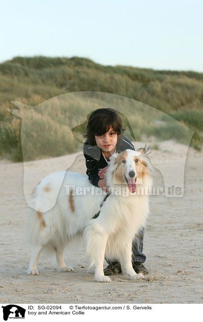 Kind und Amerikanischer Collie / boy and American Collie / SG-02094
