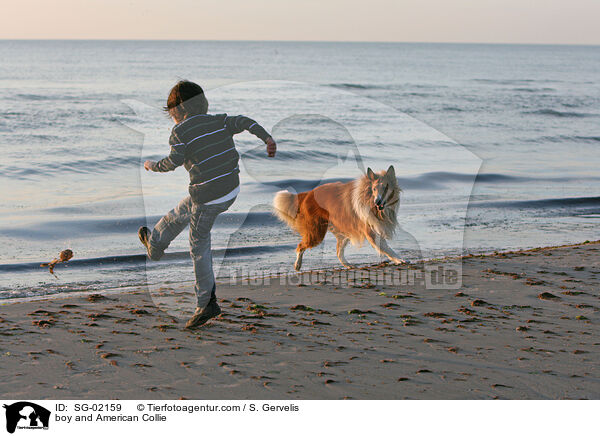 boy and American Collie / SG-02159