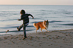 boy and American Collie