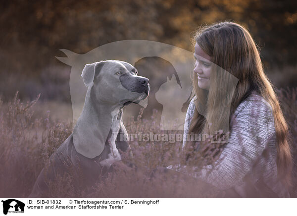Frau und American Staffordshire Terrier / woman and American Staffordshire Terrier / SIB-01832