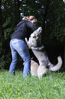woman and american wolfdog