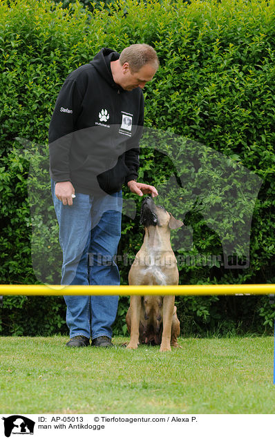 Mann mit Antikdogge / man with Antikdogge / AP-05013