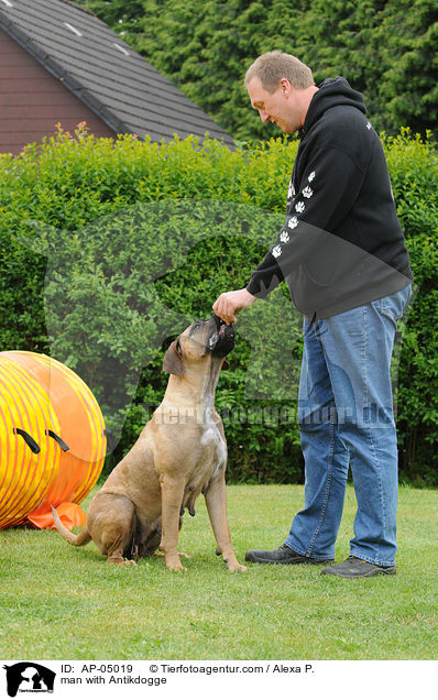 Mann mit Antikdogge / man with Antikdogge / AP-05019