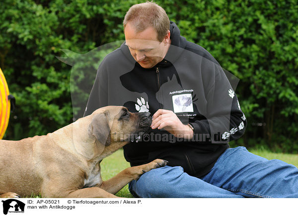 Mann mit Antikdogge / man with Antikdogge / AP-05021