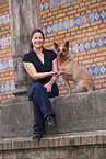 sitting Australian Cattle Dog